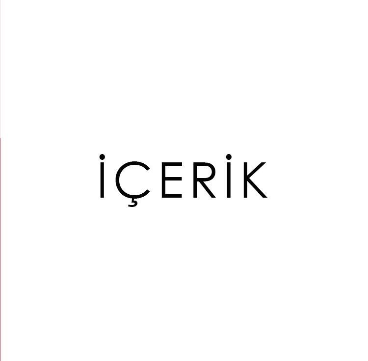 Web Tasarımı